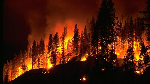 消防知識(shí) 丨 5種火災(zāi)不能用水撲救，你知道嗎？