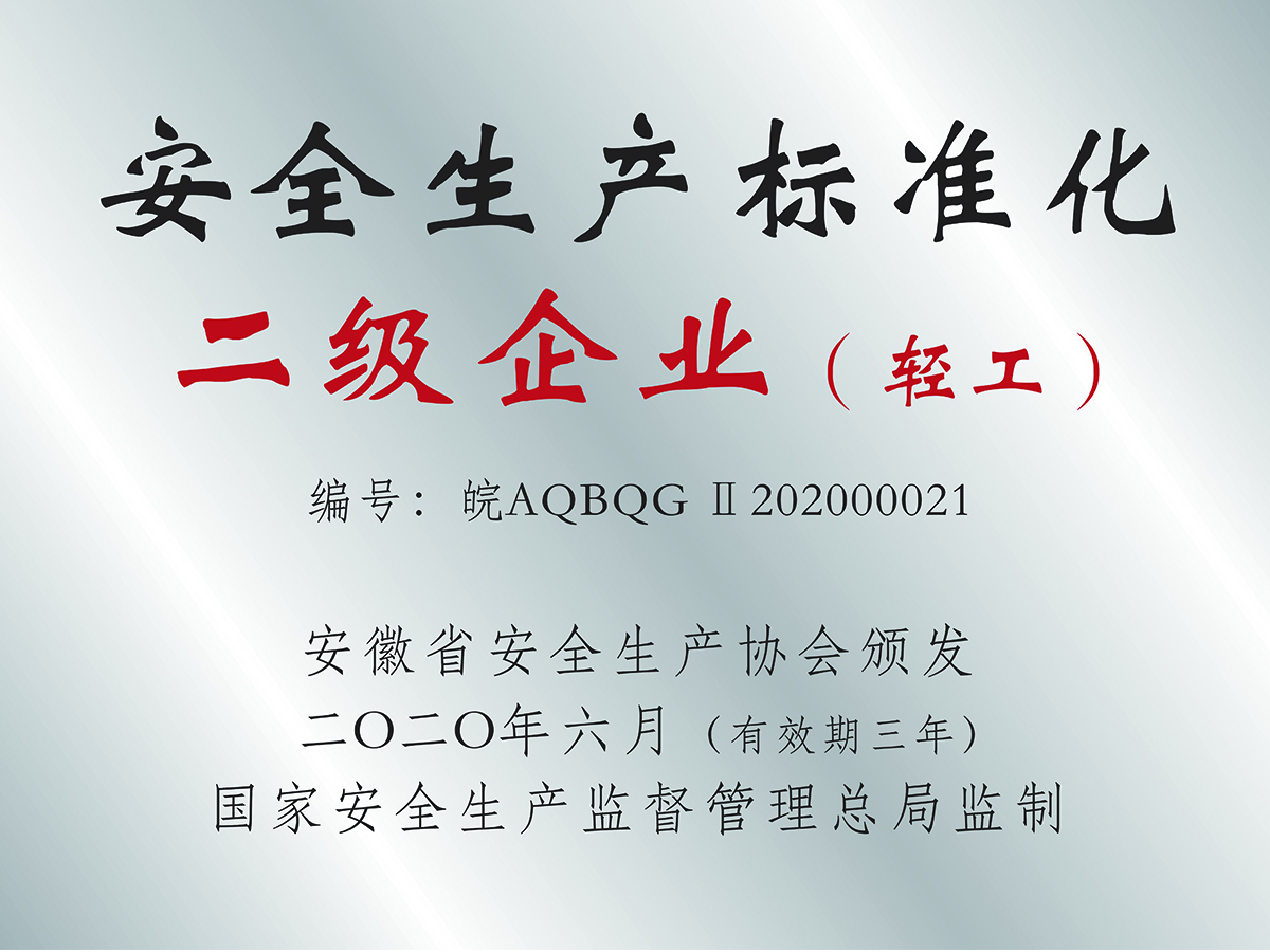 安全生產(chǎn)標(biāo)準(zhǔn)化二級企業(yè)